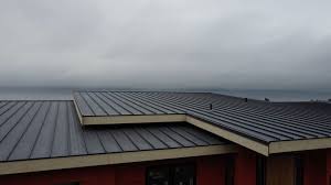 Best Steel Roofing  in Zionsville, IN